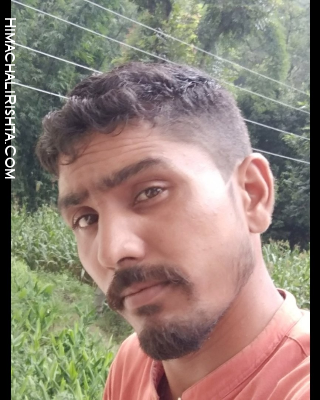 I am 35,Unmarried,Hindu,Male  living in Himachal Pradesh,India